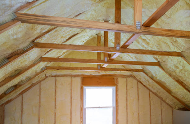Best Blown-in Insulation in Bawcomville, LA