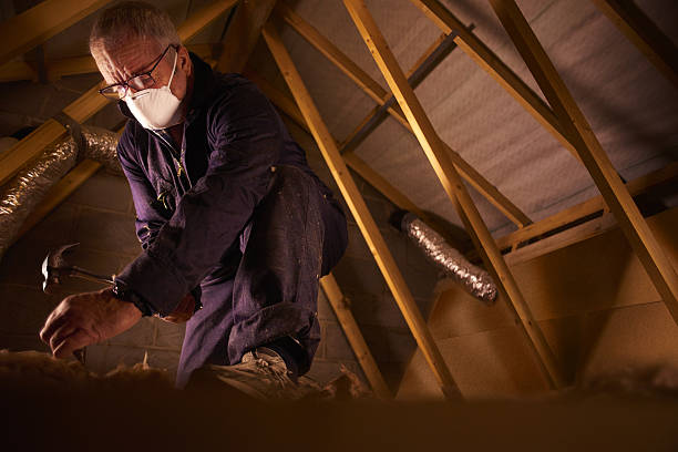 Best DIY Insulation Kits and Guidance in Bawcomville, LA