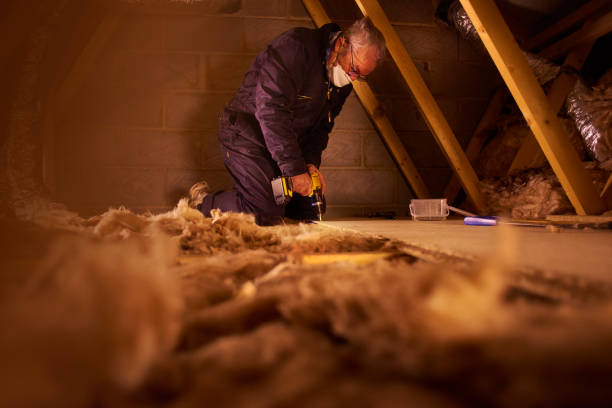 Best Energy Efficiency Insulation in Bawcomville, LA
